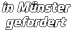 in Münster gefordert